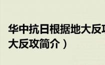 华中抗日根据地大反攻（关于华中抗日根据地大反攻简介）