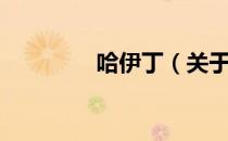 哈伊丁（关于哈伊丁介绍）