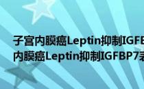 子宫内膜癌Leptin抑制IGFBP7表达机制的研究（关于子宫内膜癌Leptin抑制IGFBP7表达机制的研究）