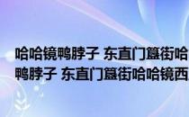 哈哈镜鸭脖子 东直门簋街哈哈镜西直门8号店（关于哈哈镜鸭脖子 东直门簋街哈哈镜西直门8号店介绍）