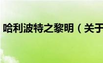 哈利波特之黎明（关于哈利波特之黎明介绍）