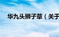 华九头狮子草（关于华九头狮子草简介）