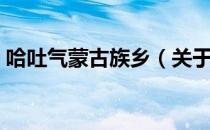 哈吐气蒙古族乡（关于哈吐气蒙古族乡介绍）