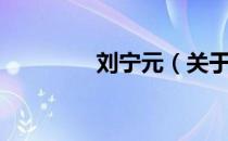 刘宁元（关于刘宁元介绍）