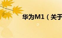华为M1（关于华为M1简介）