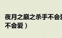 夜月之巅之杀手不会爱（关于夜月之巅之杀手不会爱）