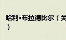哈利·布拉德比尔（关于哈利·布拉德比尔介绍）