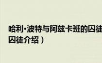 哈利·波特与阿玆卡班的囚徒（关于哈利·波特与阿玆卡班的囚徒介绍）