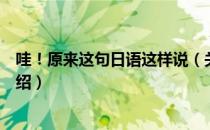 哇！原来这句日语这样说（关于哇！原来这句日语这样说介绍）