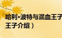 哈利·波特与混血王子（关于哈利·波特与混血王子介绍）