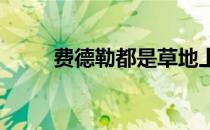 费德勒都是草地上当之无愧的王者