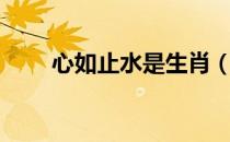 心如止水是生肖（心如止水打一肖）