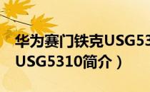 华为赛门铁克USG5310（关于华为赛门铁克USG5310简介）