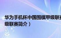 华为手机杯中国围棋甲级联赛（关于华为手机杯中国围棋甲级联赛简介）