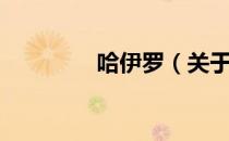 哈伊罗（关于哈伊罗介绍）