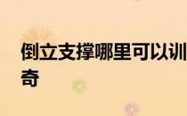 倒立支撑哪里可以训练肌肉 它的好处让你好奇