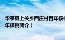 华亭县上关乡西庄村百年核桃（关于华亭县上关乡西庄村百年核桃简介）
