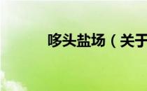 哆头盐场（关于哆头盐场介绍）