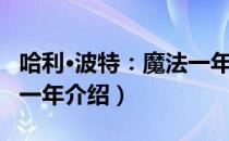 哈利·波特：魔法一年（关于哈利·波特：魔法一年介绍）