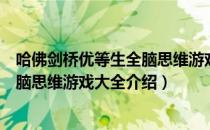 哈佛剑桥优等生全脑思维游戏大全（关于哈佛剑桥优等生全脑思维游戏大全介绍）