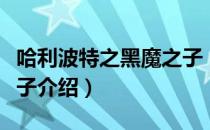 哈利波特之黑魔之子（关于哈利波特之黑魔之子介绍）