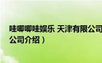 哇唧唧哇娱乐 天津有限公司（关于哇唧唧哇娱乐 天津有限公司介绍）