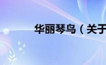 华丽琴鸟（关于华丽琴鸟简介）