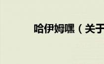 哈伊姆嘿（关于哈伊姆嘿介绍）