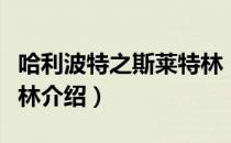 哈利波特之斯莱特林（关于哈利波特之斯莱特林介绍）