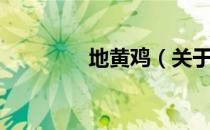 地黄鸡（关于地黄鸡简介）