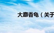大麝香龟（关于大麝香龟简介）