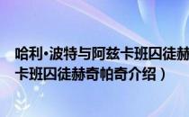 哈利·波特与阿兹卡班囚徒赫奇帕奇（关于哈利·波特与阿兹卡班囚徒赫奇帕奇介绍）