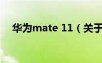 华为mate 11（关于华为mate 11简介）