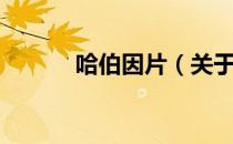 哈伯因片（关于哈伯因片介绍）