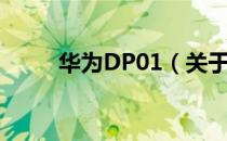 华为DP01（关于华为DP01简介）