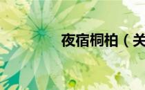 夜宿桐柏（关于夜宿桐柏）