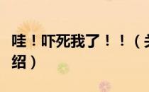 哇！吓死我了！！（关于哇！吓死我了！！介绍）