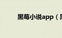 黑莓小说app（黑莓surfboard）