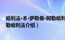 哈利法·本·萨勒曼·阿勒哈利法（关于哈利法·本·萨勒曼·阿勒哈利法介绍）