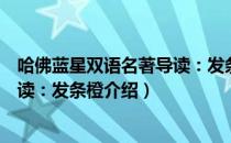 哈佛蓝星双语名著导读：发条橙（关于哈佛蓝星双语名著导读：发条橙介绍）