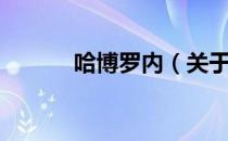 哈博罗内（关于哈博罗内介绍）