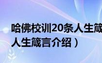 哈佛校训20条人生箴言（关于哈佛校训20条人生箴言介绍）