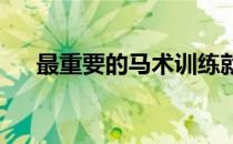 最重要的马术训练就是培养骑手的感觉