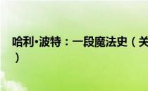 哈利·波特：一段魔法史（关于哈利·波特：一段魔法史介绍）