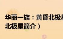 华丽一族：黄昏北极星（关于华丽一族：黄昏北极星简介）