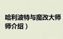 哈利波特与魔改大师（关于哈利波特与魔改大师介绍）