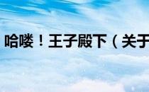 哈喽！王子殿下（关于哈喽！王子殿下介绍）
