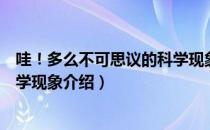 哇！多么不可思议的科学现象（关于哇！多么不可思议的科学现象介绍）