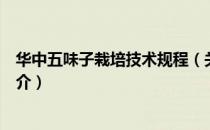 华中五味子栽培技术规程（关于华中五味子栽培技术规程简介）