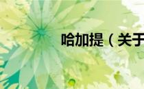 哈加提（关于哈加提介绍）